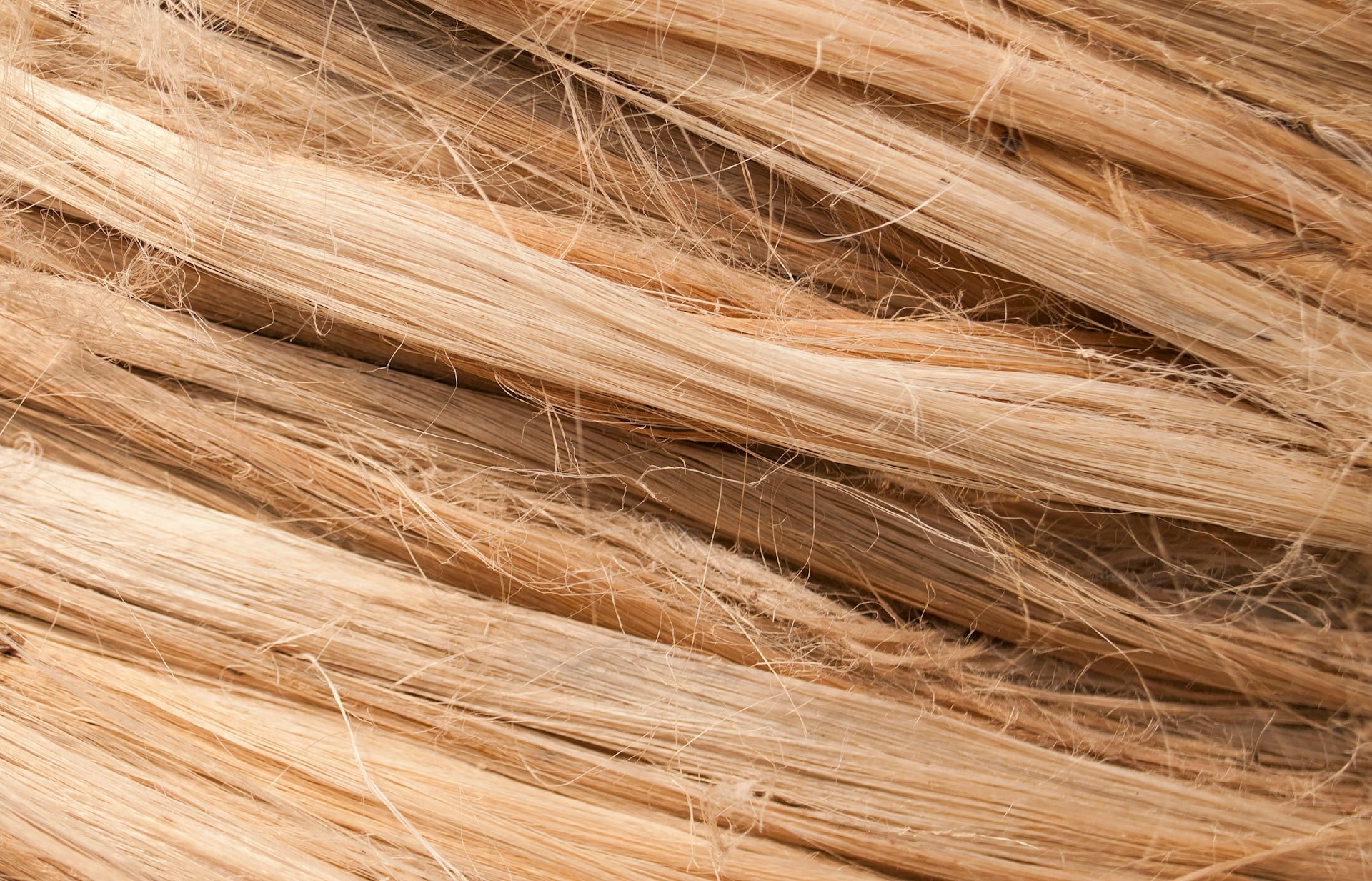 A close up of a pile of hair